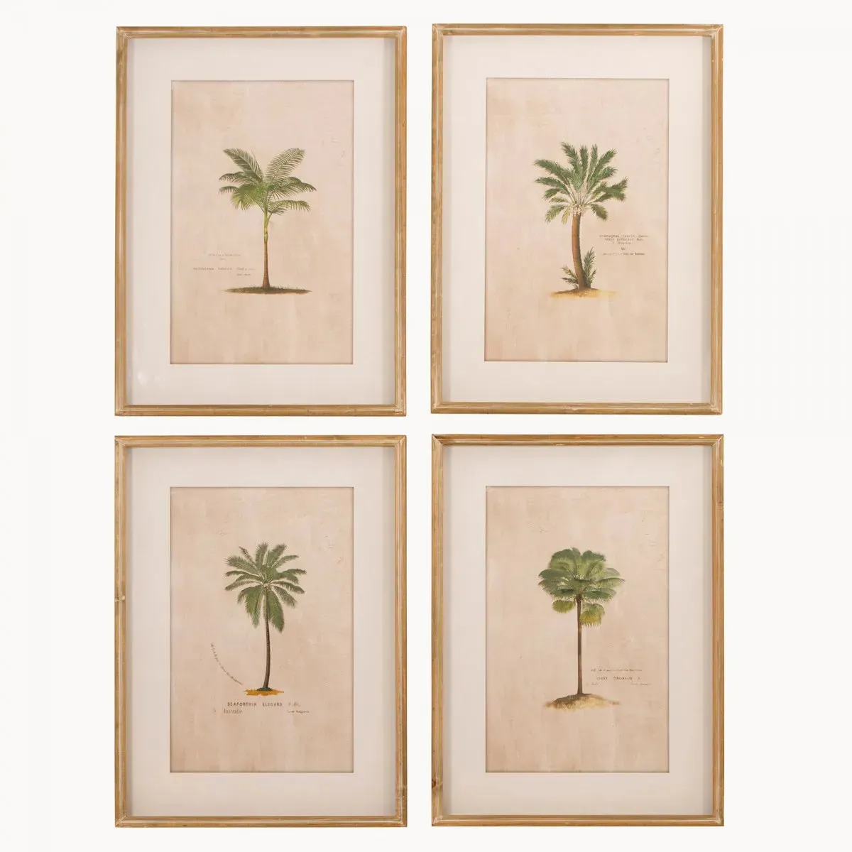 Brockby Set of Four Framed Tropical Wall Art 64.5cm