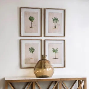 Brockby Set of Four Framed Tropical Wall Art 64.5cm