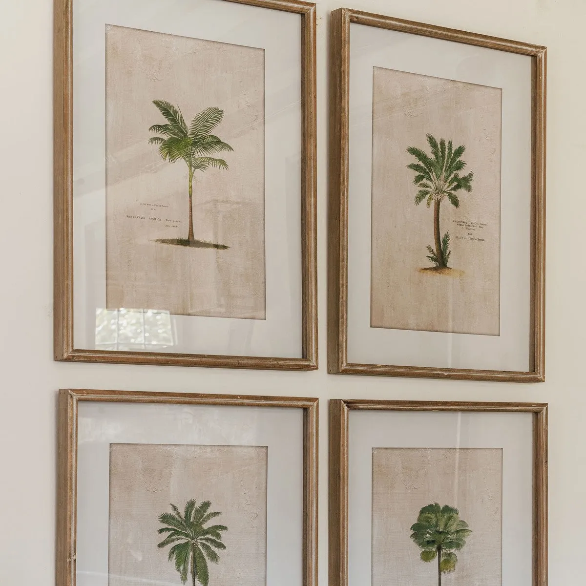 Brockby Set of Four Framed Tropical Wall Art 64.5cm