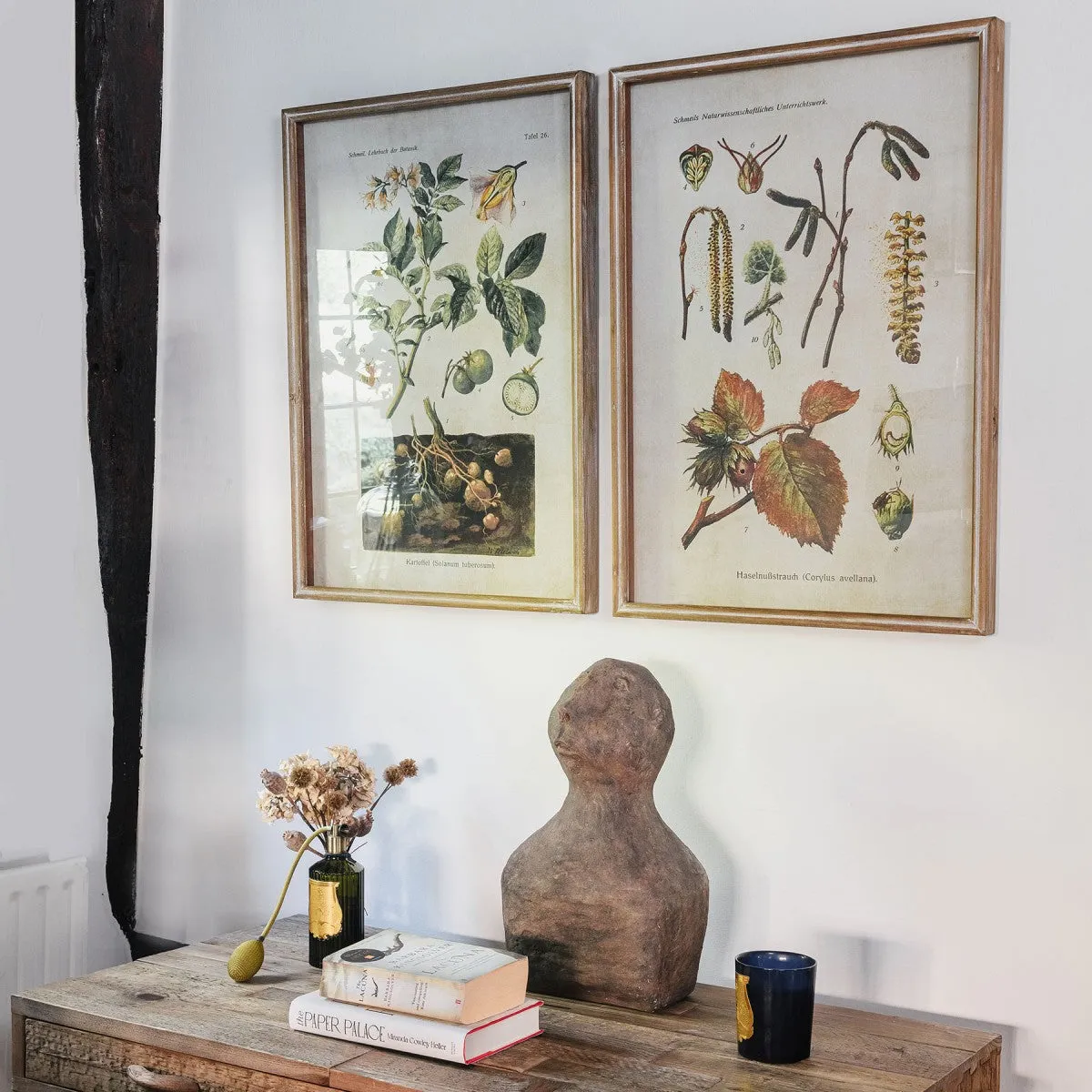 Brookby Set of Two Framed Potato and Hazel Wall art