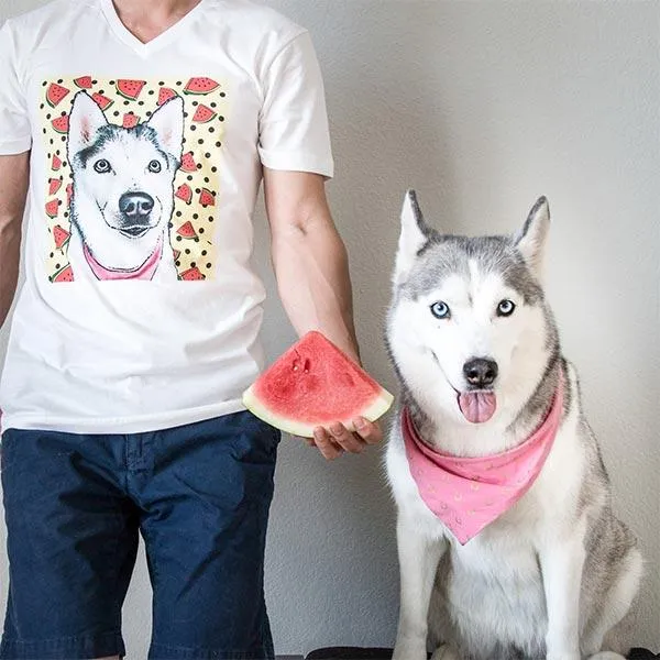 Original Pet Pop Art Mens V-neck