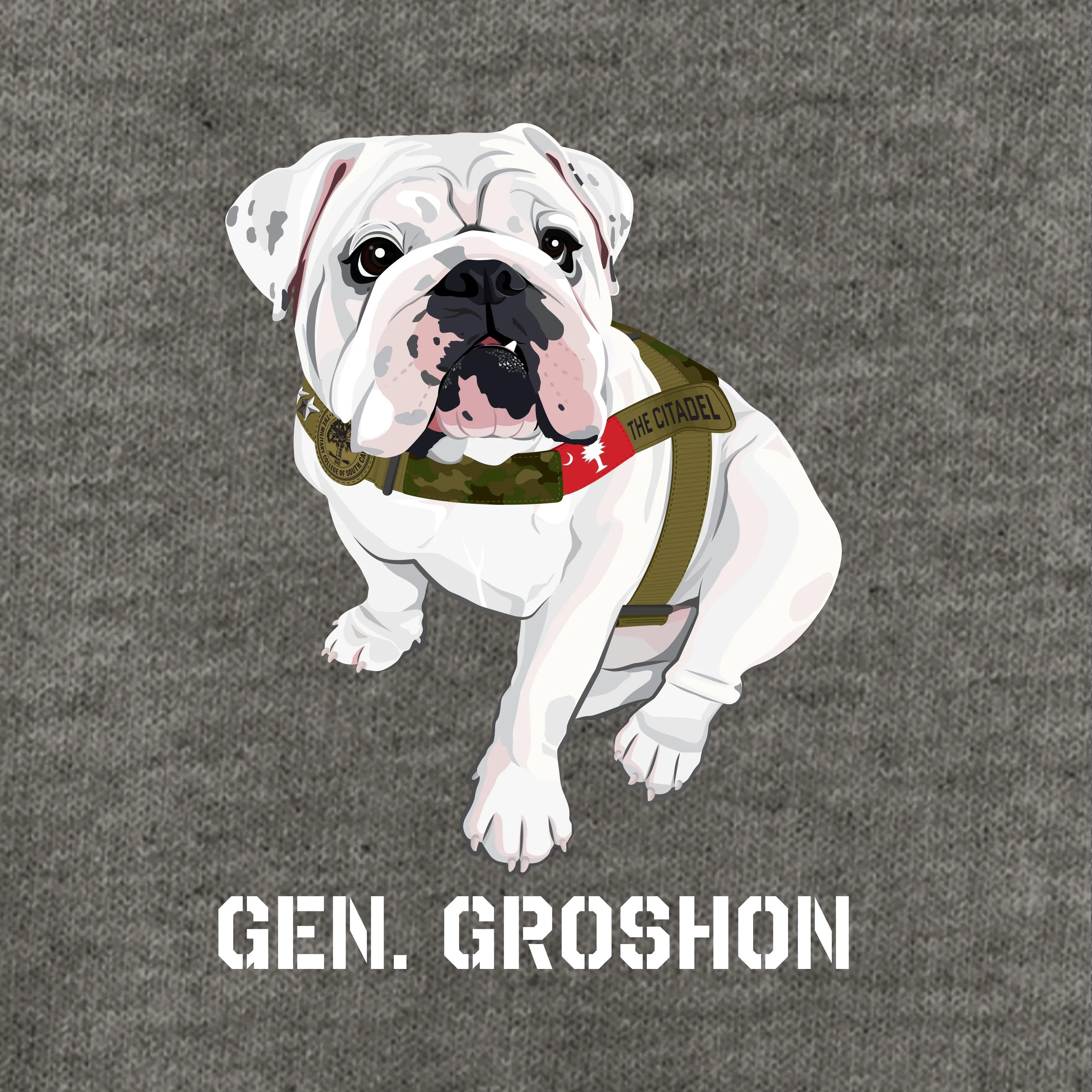 The Citadel Mascot Bulldog, Gen. Groshon AKA G3 Women’s V-Neck Tee Shirt